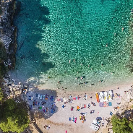 Apartment Gorgeous In With Wifi *